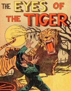the eyes of the tiger