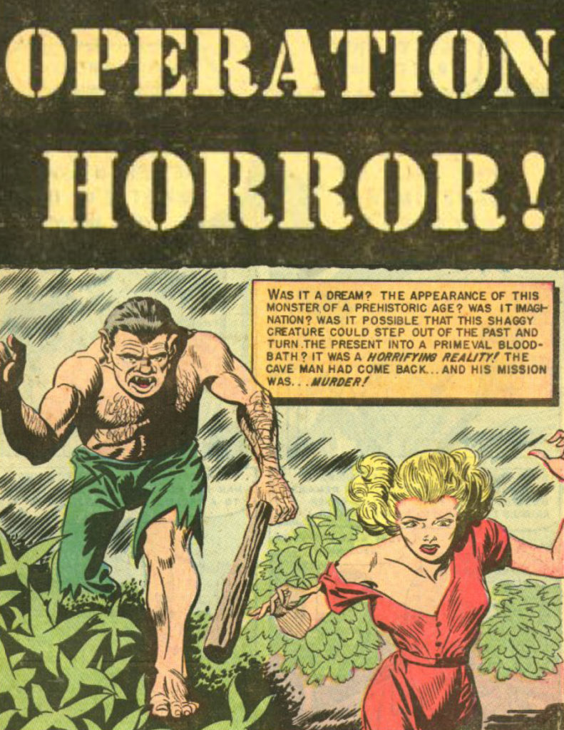 Operation Horror