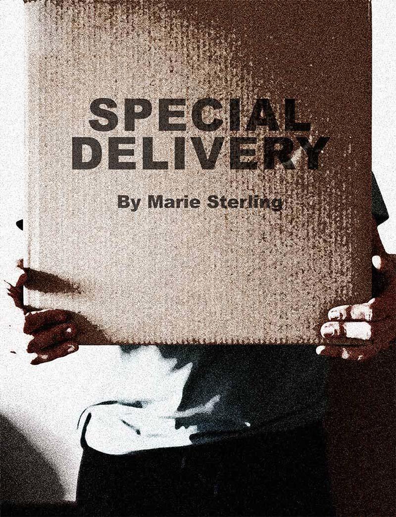Special Delivery by Marie Sterling Twisted Pulp Magazine Issue 015