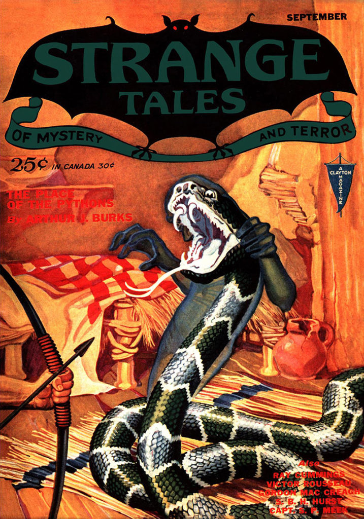 Strange Tales Of Mystery And Terror v1n1
