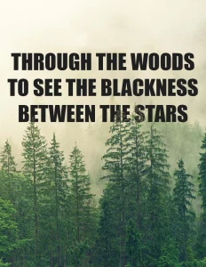 Through the Woods to See the Blackness Between the Stars